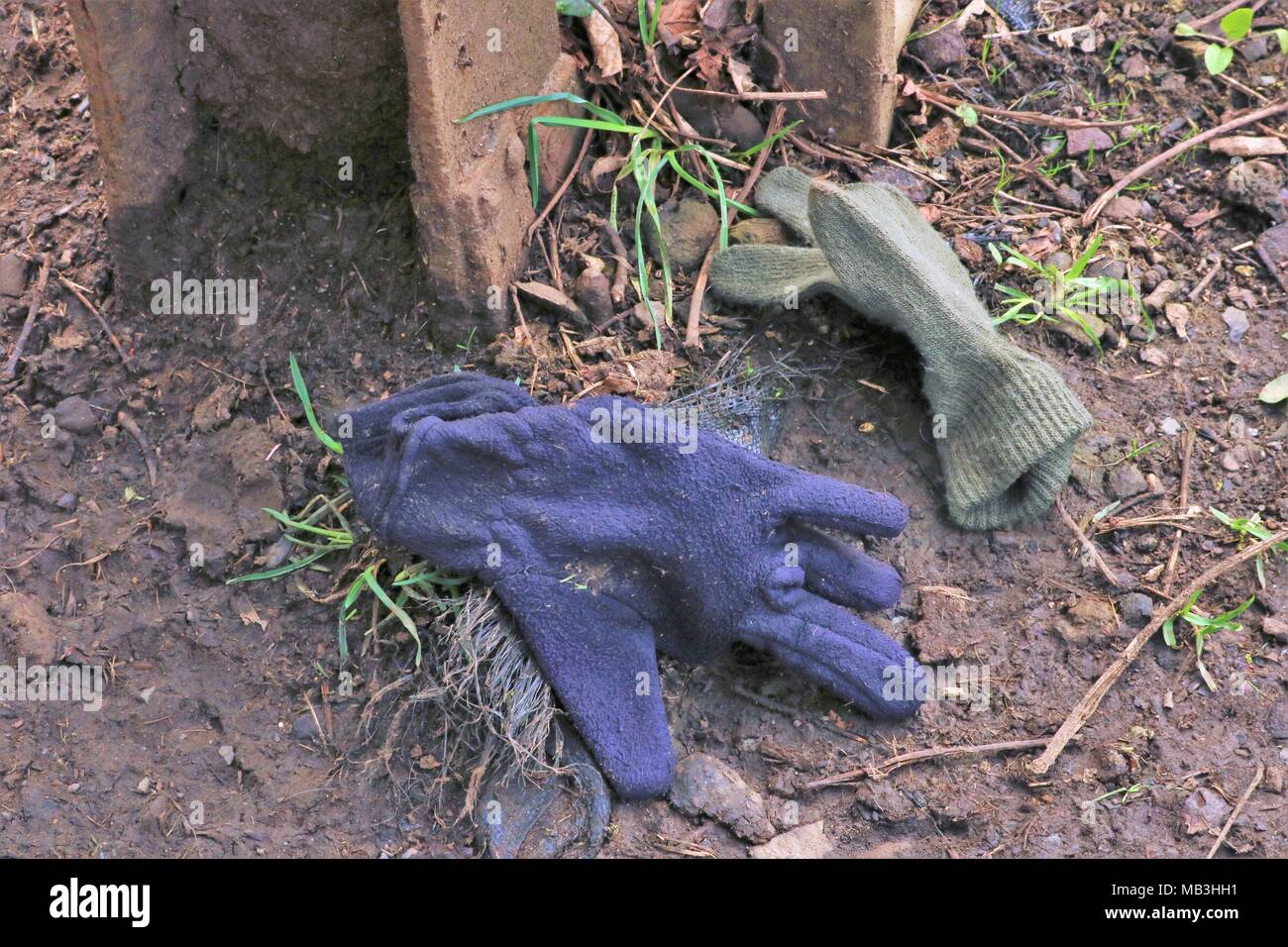 Lost odd gloves on muddy path in park in winter Stock Photo