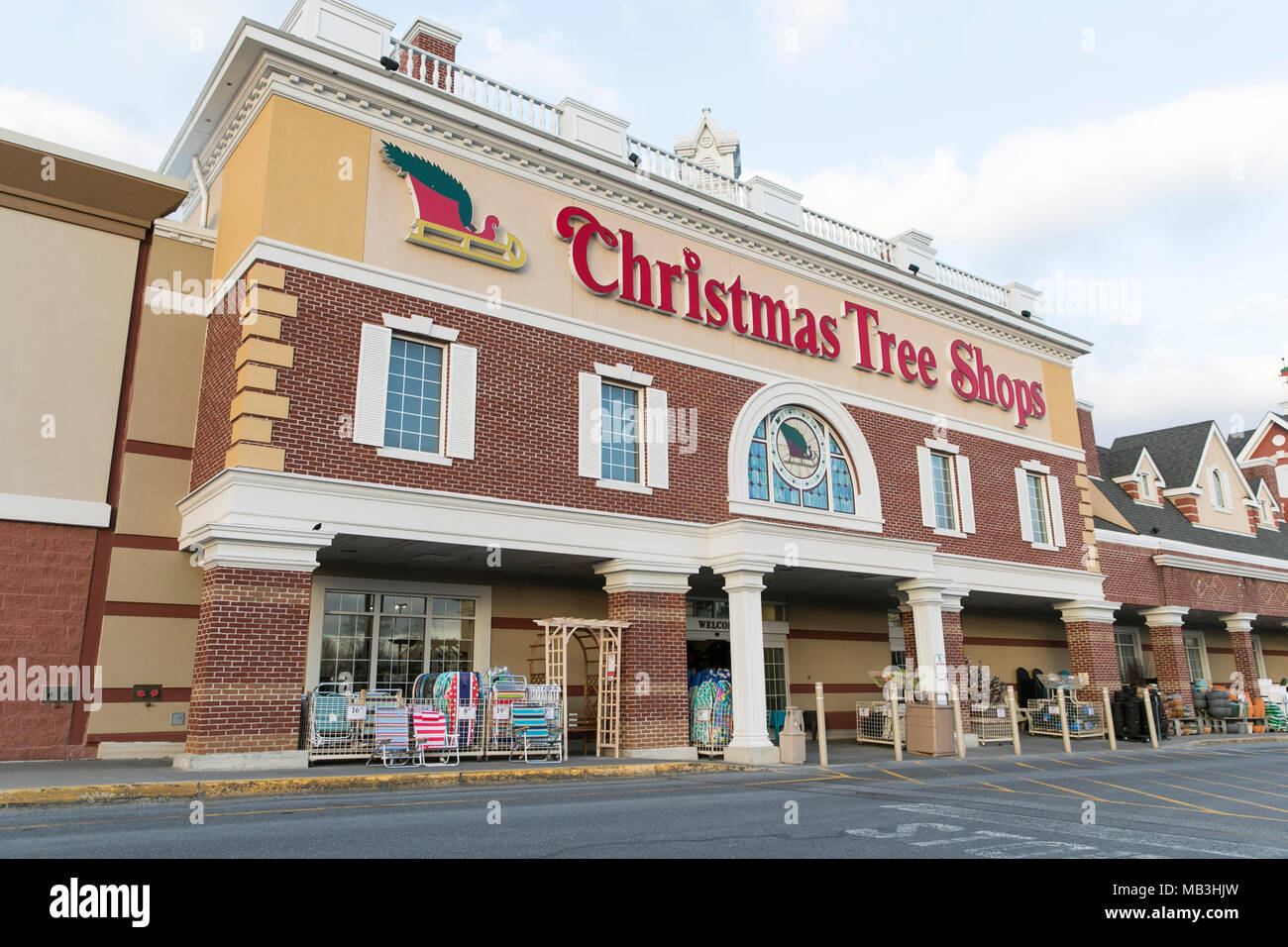 the christmas tree store