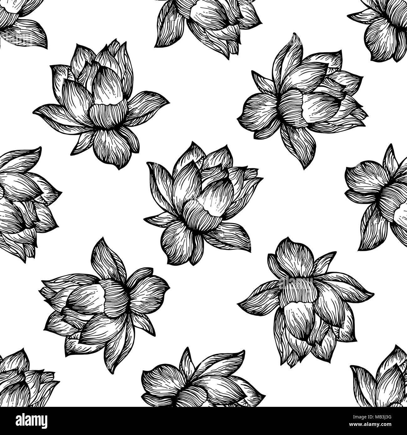 Seamless pattern of hand drawn sketch style lotus flowers isolated on ...