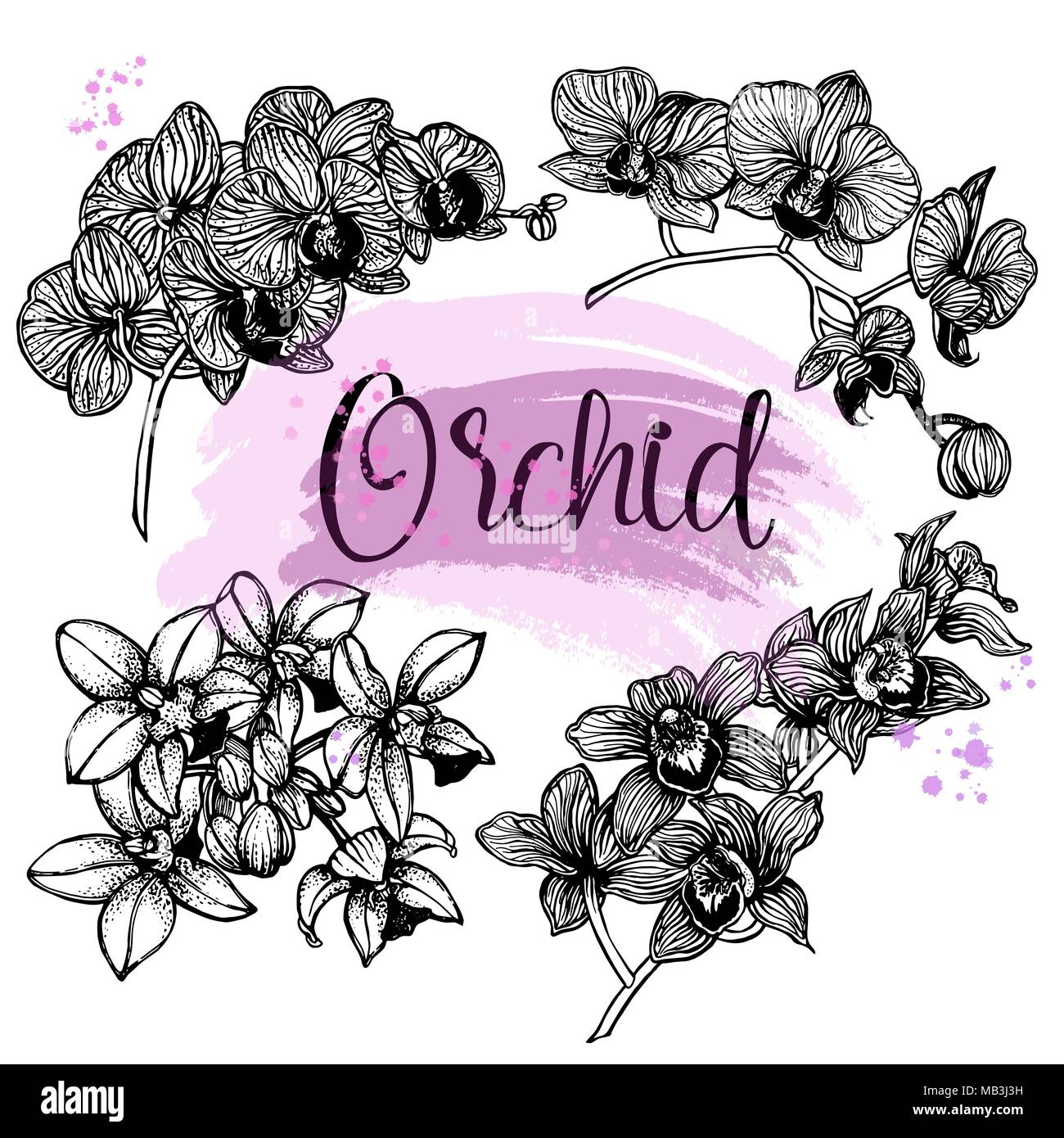 Set of hand drawn sketch style orchid flowers isolated on white background. Vector illustration. Stock Vector