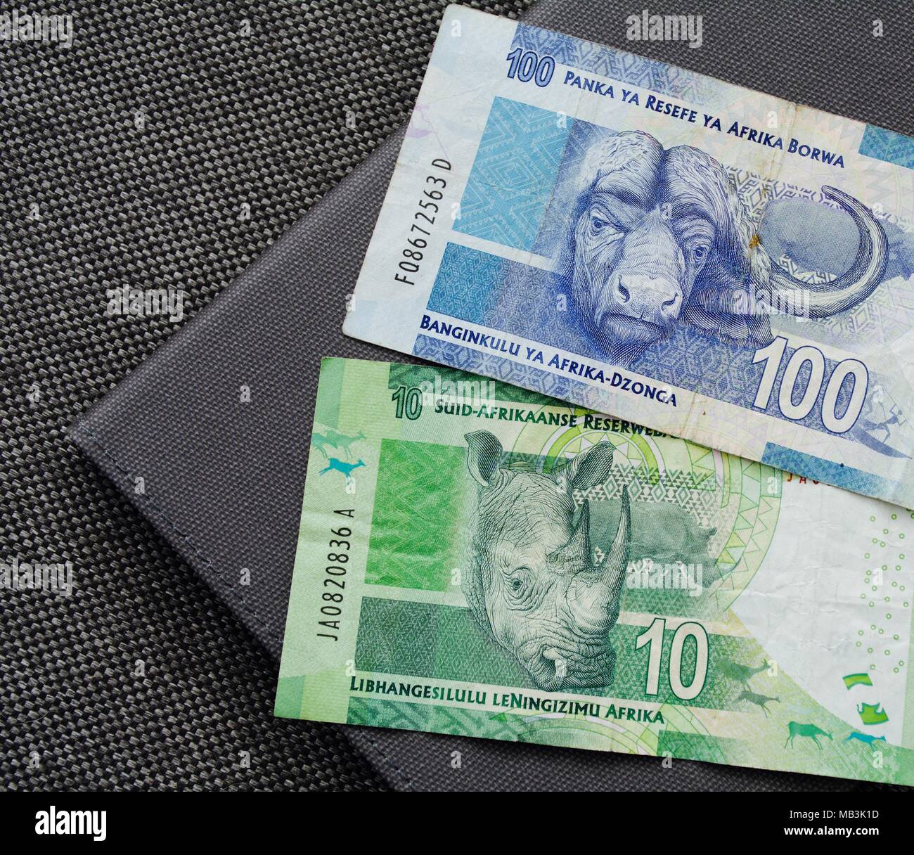 One Hundred and Ten Rand banks notes with images of African buffalo and a rhinoceros Stock Photo