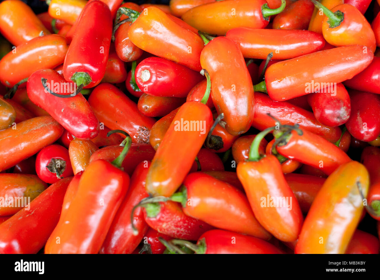 Chili peppers on display at a farmers market Stock Photo - Alamy
