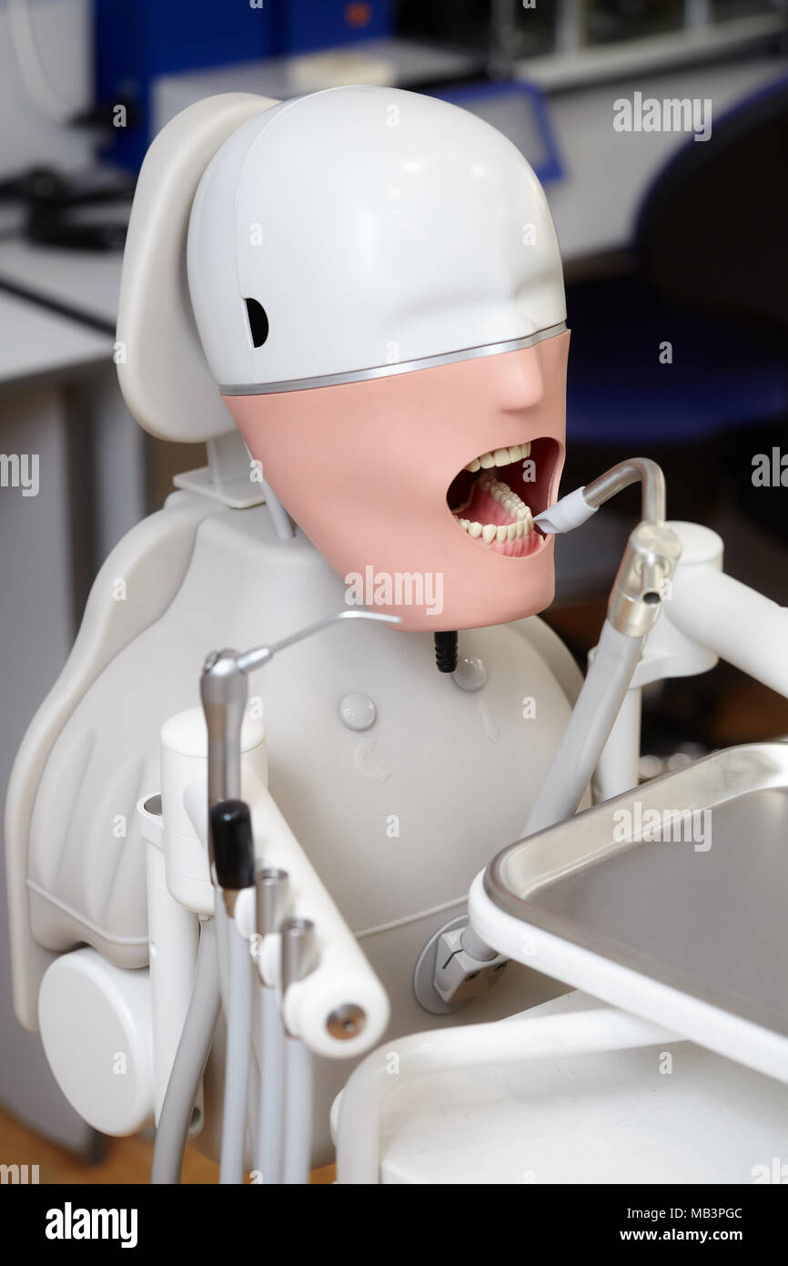 Mannequin or dummy for dentist students training in dental faculties of
