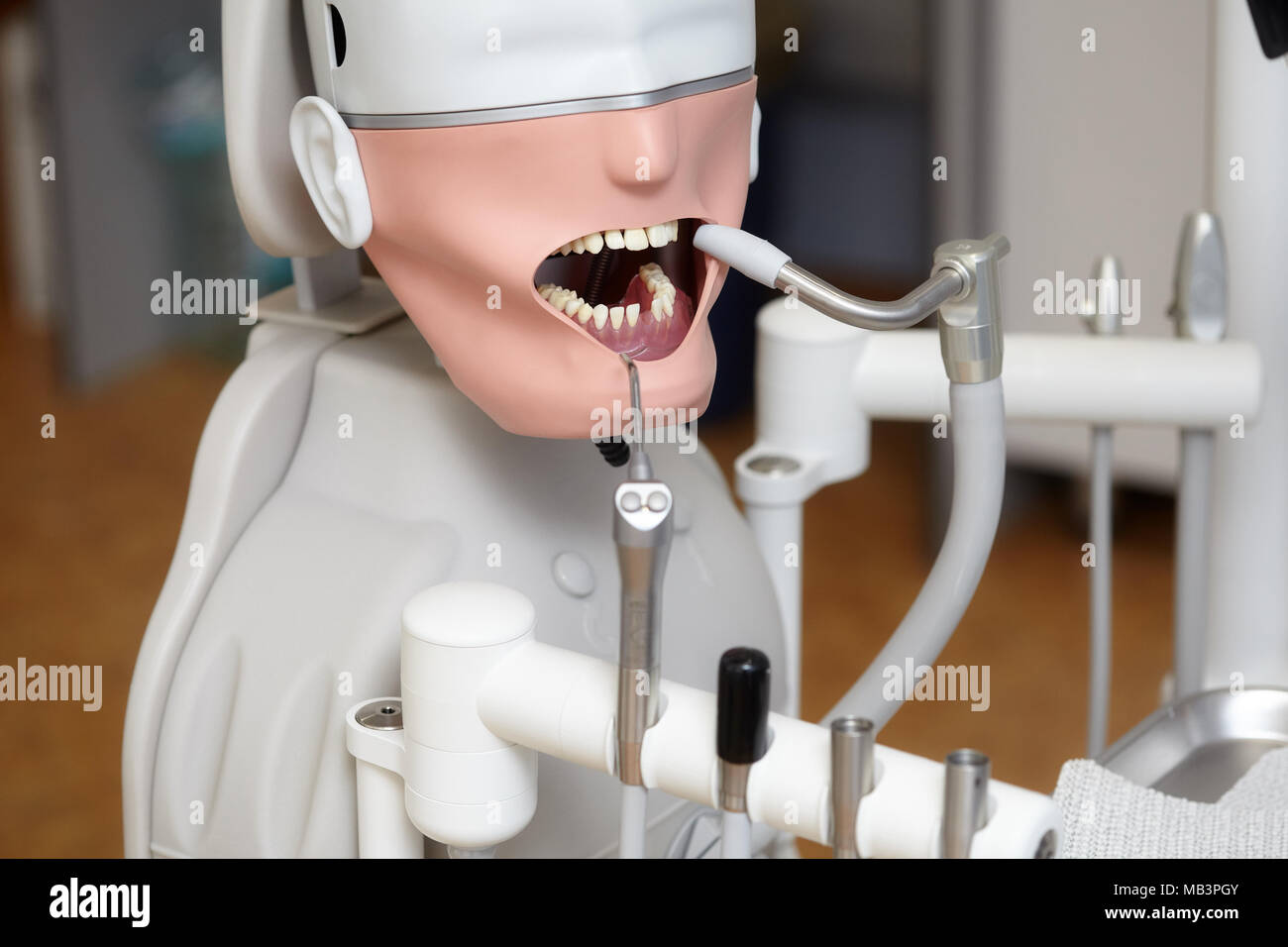 Mannequin or dummy for dentist students training in dental faculties of