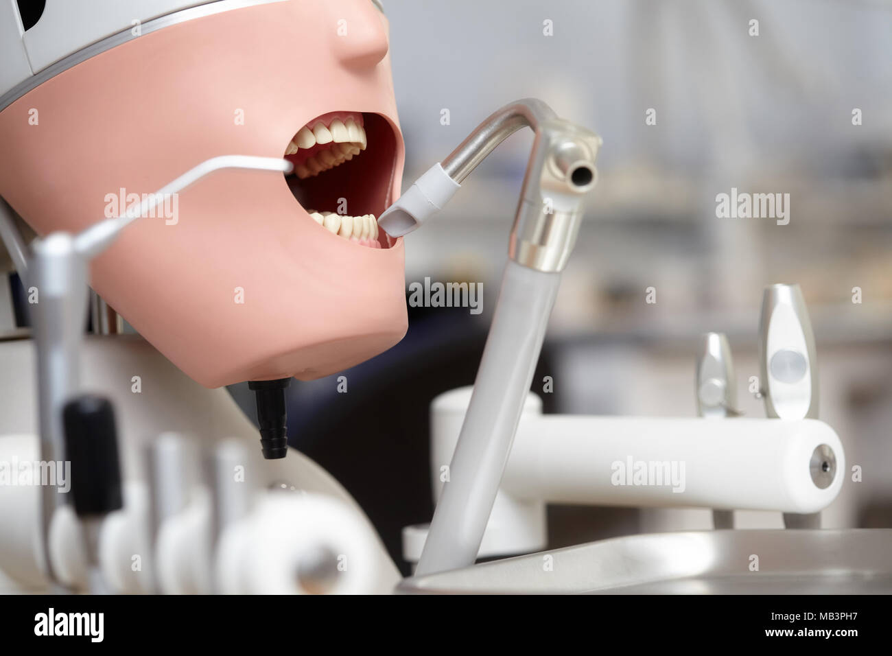 Mannequin or dummy for dentist students training in dental faculties of