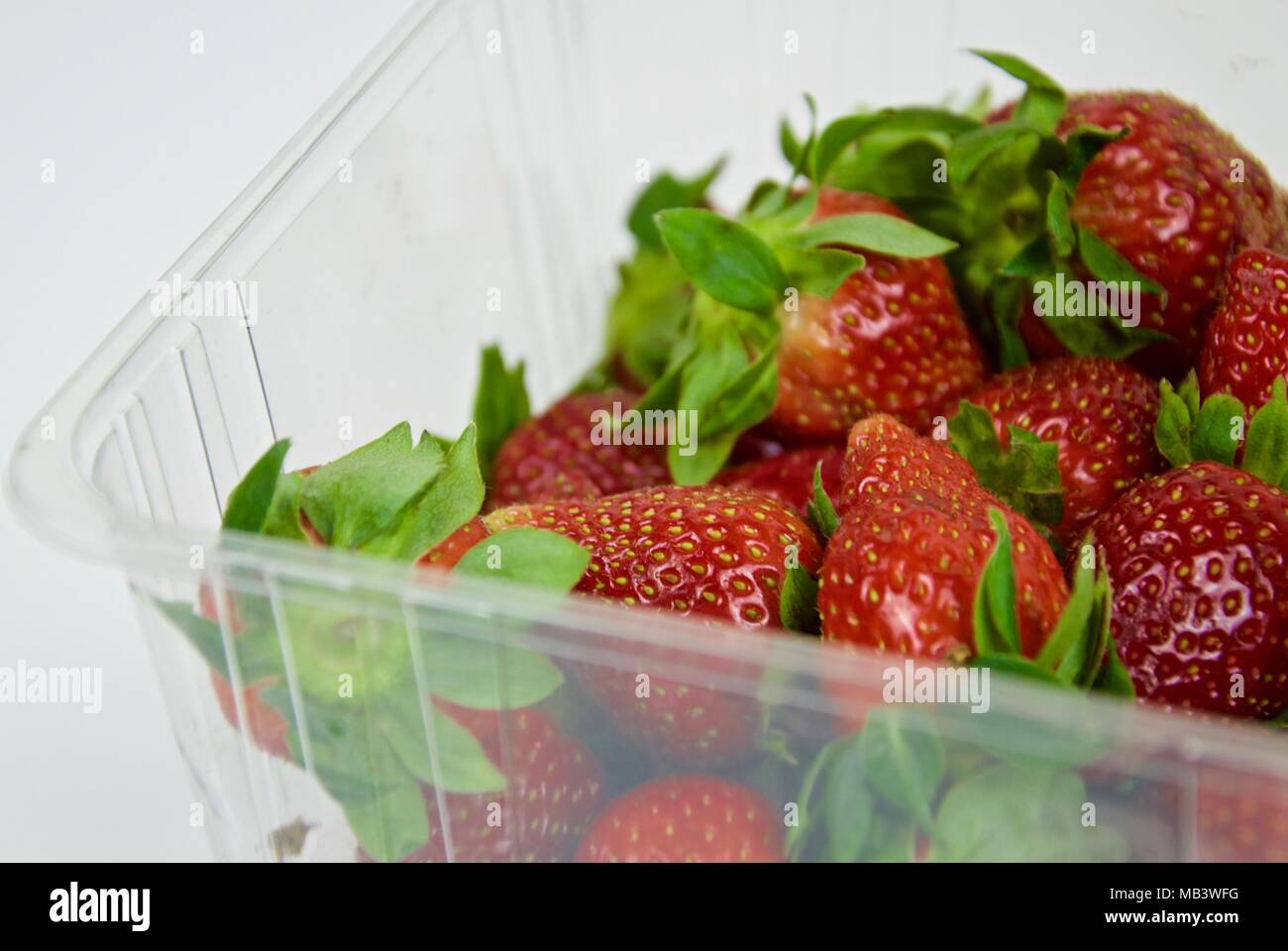 Basket of strawberries picked in early spring in macro view Stock Photo ...