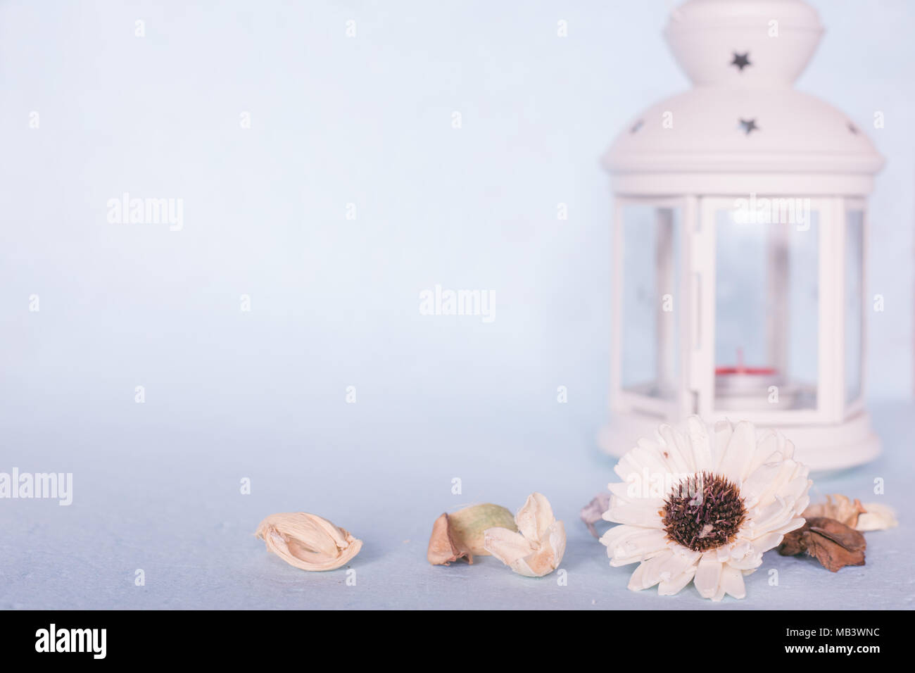 Dried flower and nature and vintage lantern with blank space for text , pastel tone image Stock Photo