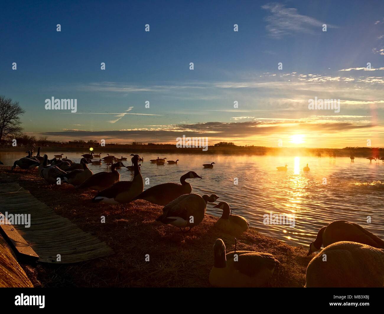 sunrise at the duck blind Stock Photo