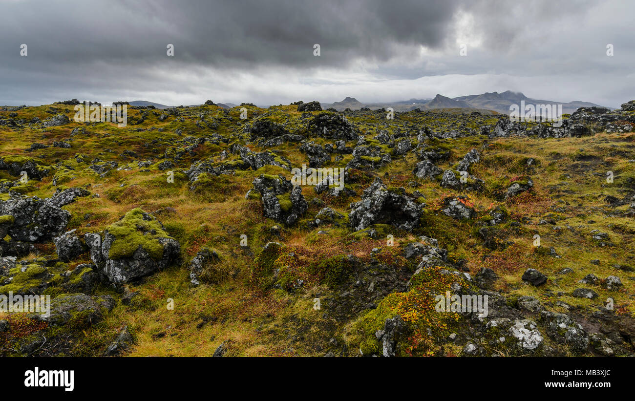 Volcanic craters and lava fields with moss, Snaefellsnes National Park, Iceland Stock Photo