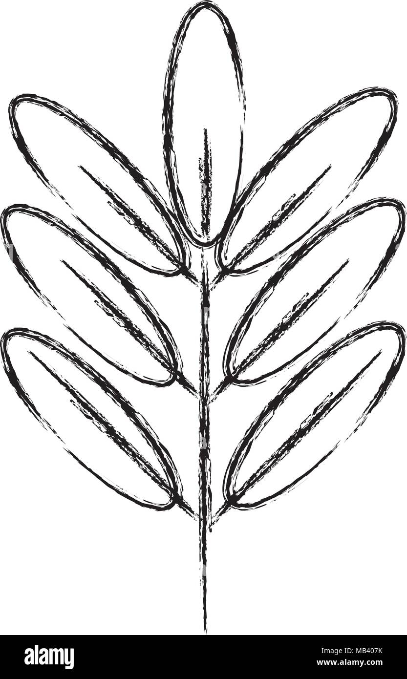 grunge natural plant with ecology leaves design Stock Vector Image ...