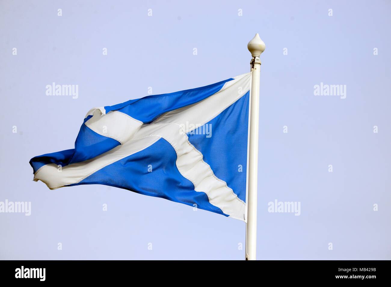 Scottish flag Stock Photo