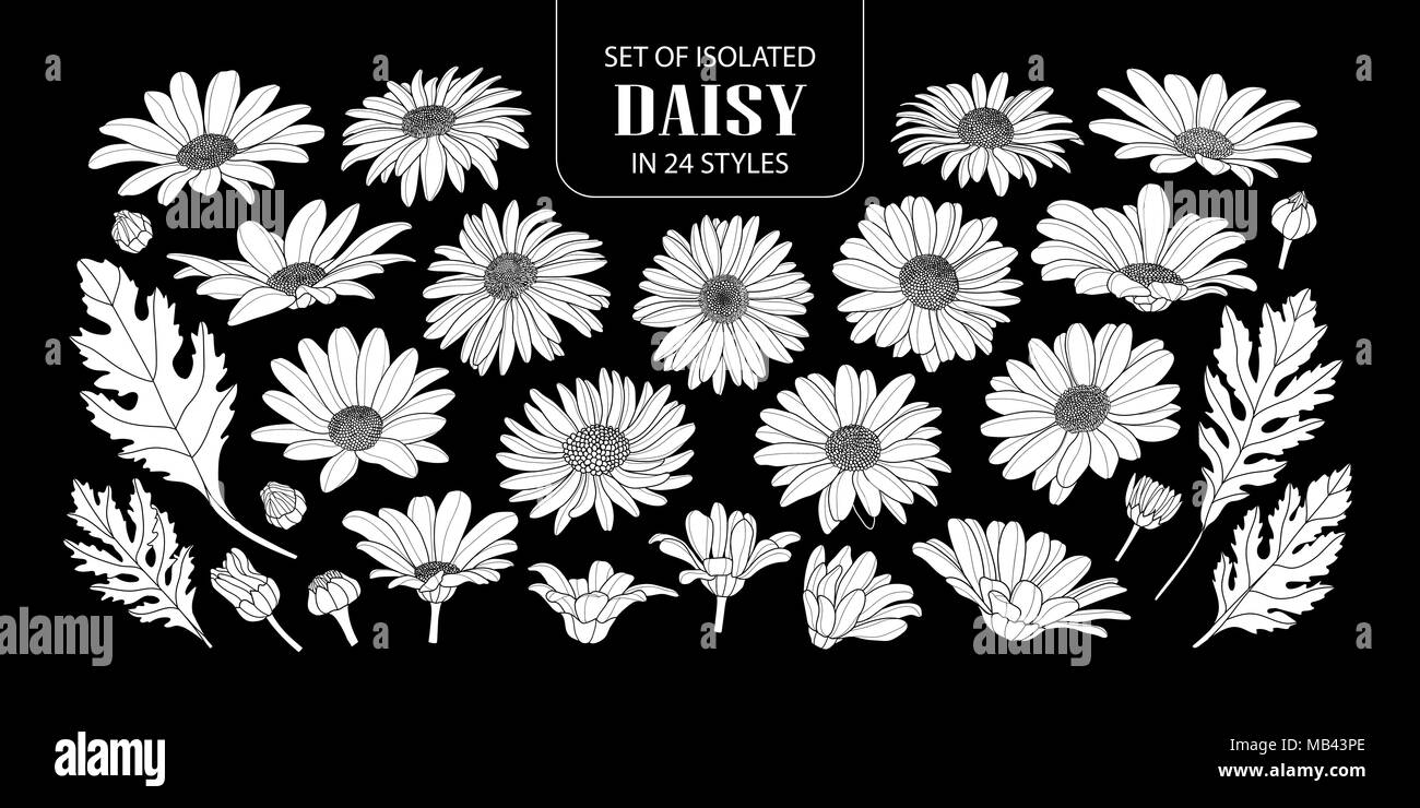 Set of isolated white silhouette daisy in 24 styles. Cute hand drawn flower vector illustration in white plane without outline on black background. Stock Vector
