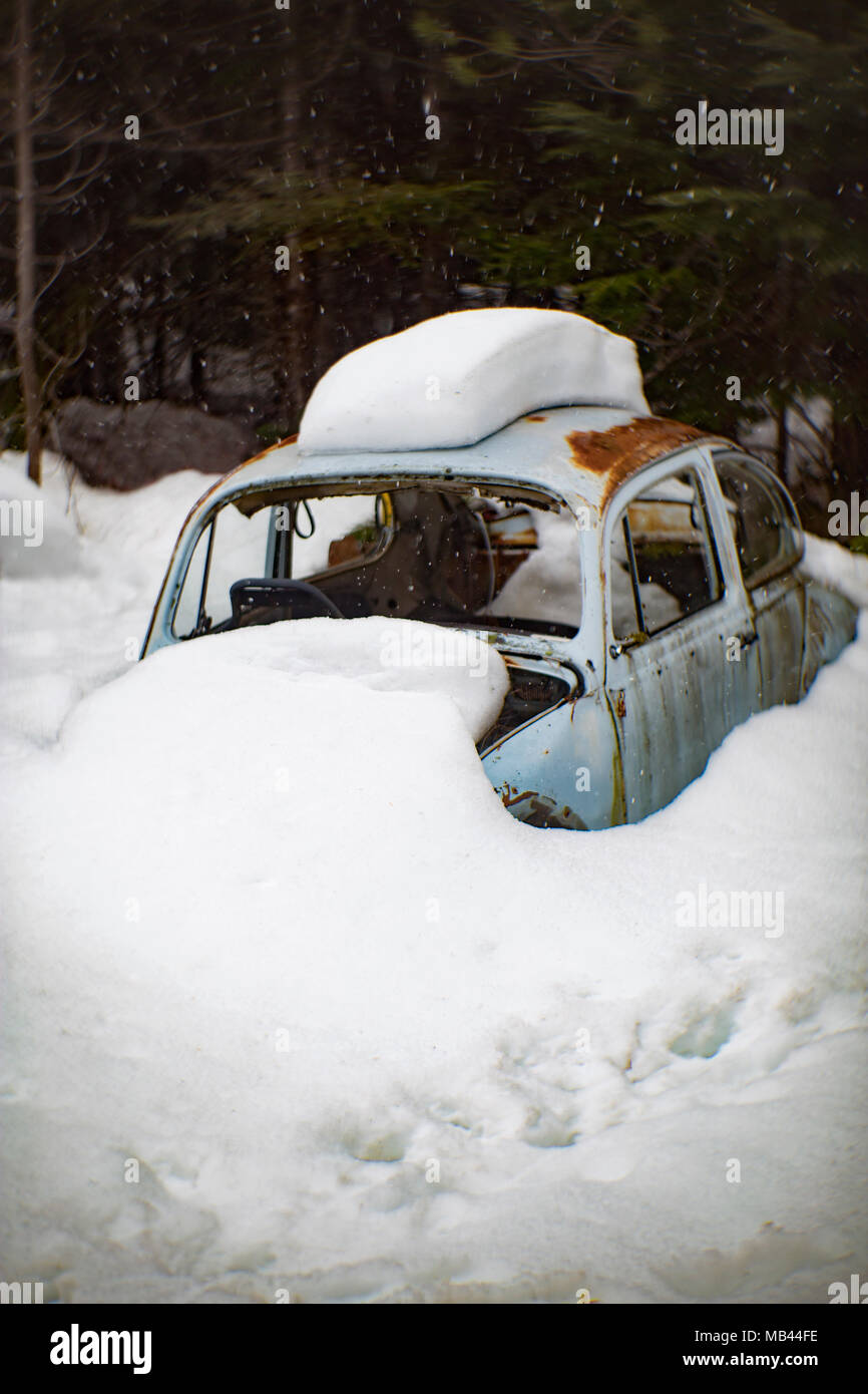 A 1960 Volkswagen Beetle, buried in the snow, in a wooded area, in Noxon, Montana.  This image was shot with an antique Petzval lens and will show si Stock Photo