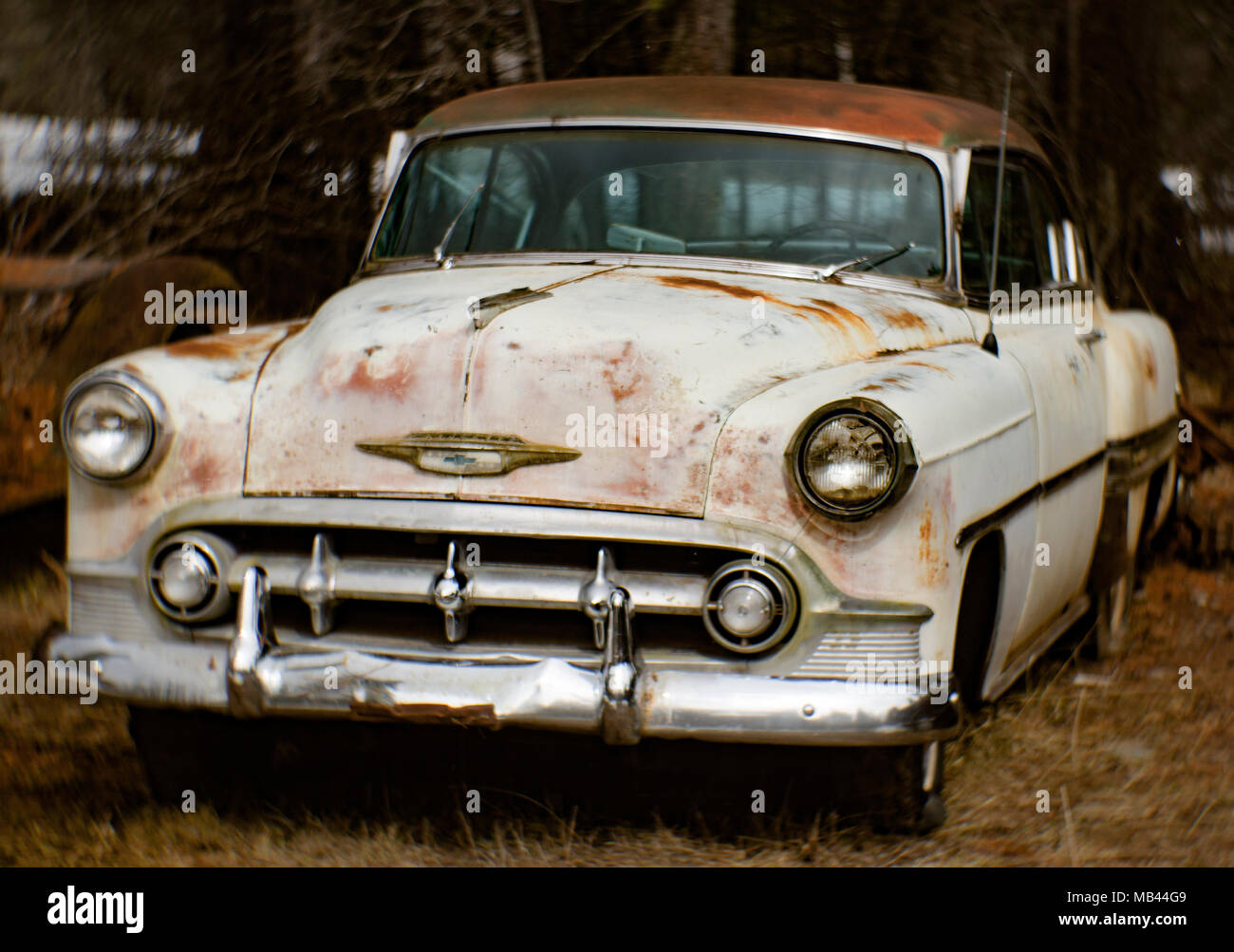 A 1953 Chevrolet Bel Air 2-door sedan, in a wooded area, in Noxon, Montana  This image was shot with an antique Petzval lens and will show signs of di Stock Photo