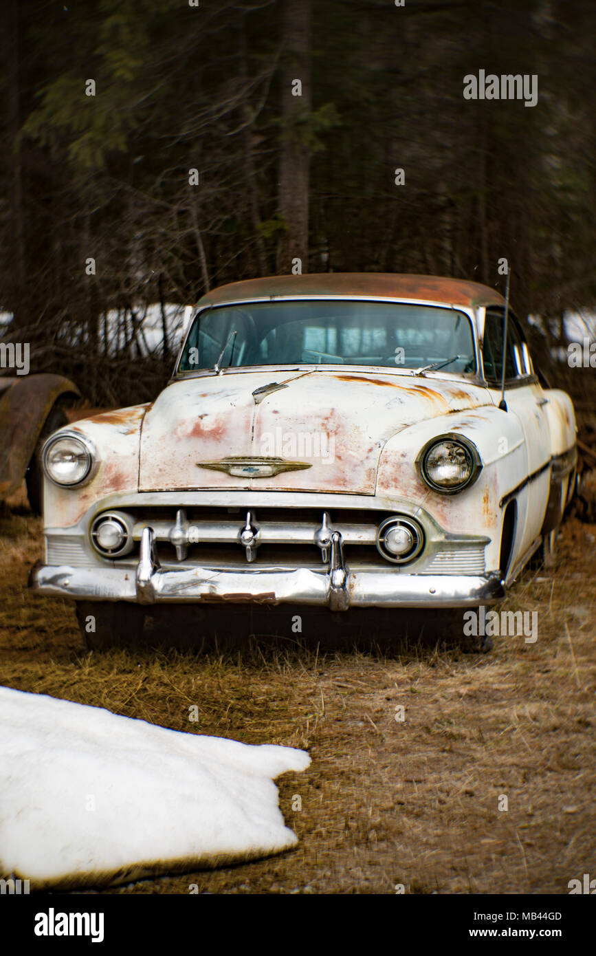 A 1953 Chevrolet Bel Air 2-door sedan, in a wooded area, in Noxon, Montana  This image was shot with an antique Petzval lens and will show signs of di Stock Photo