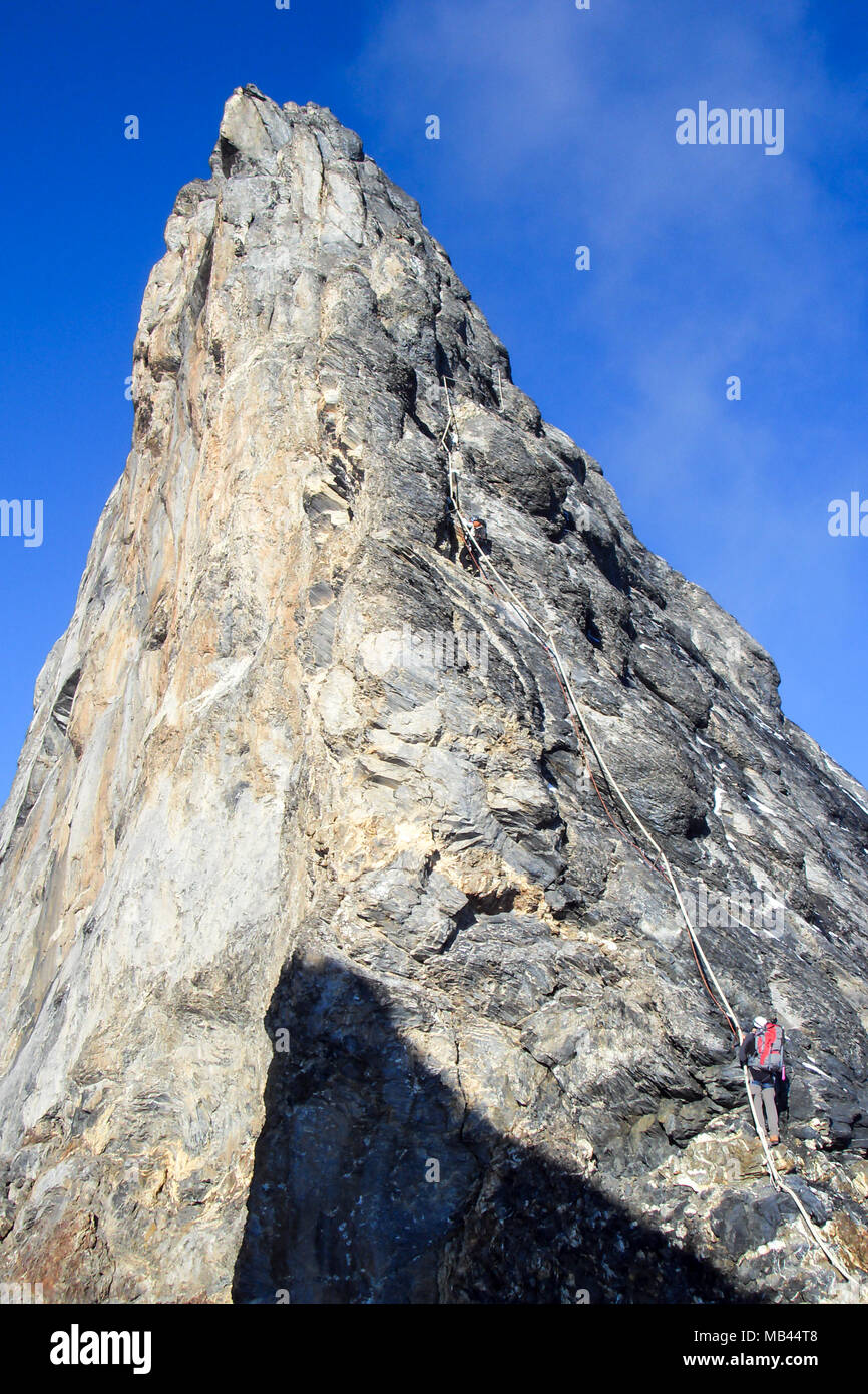 mountain climbers on the famous Mittellegi Ridge of Eiger mountain near ...