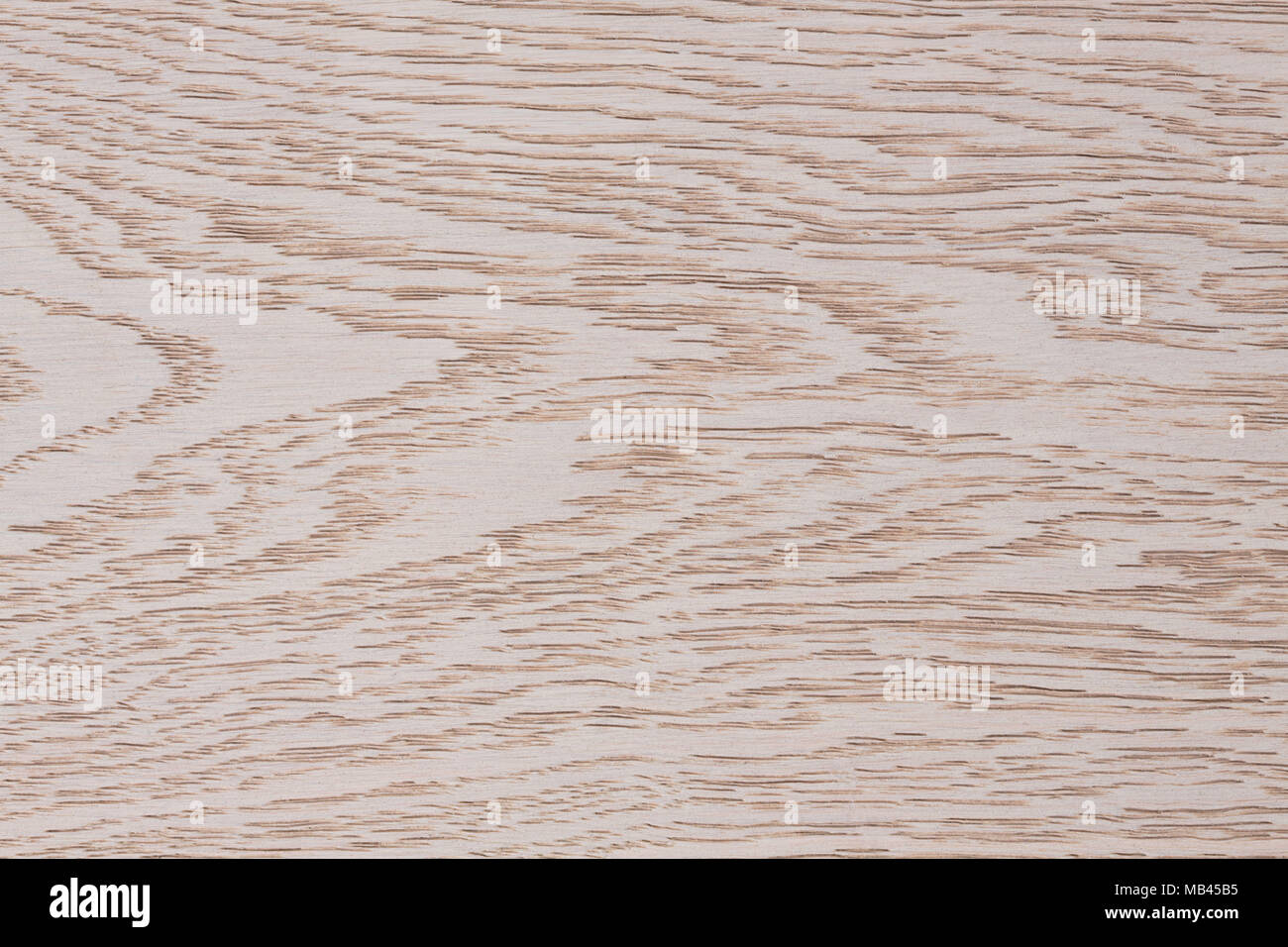 White plywood plank floor painted. Stock Photo