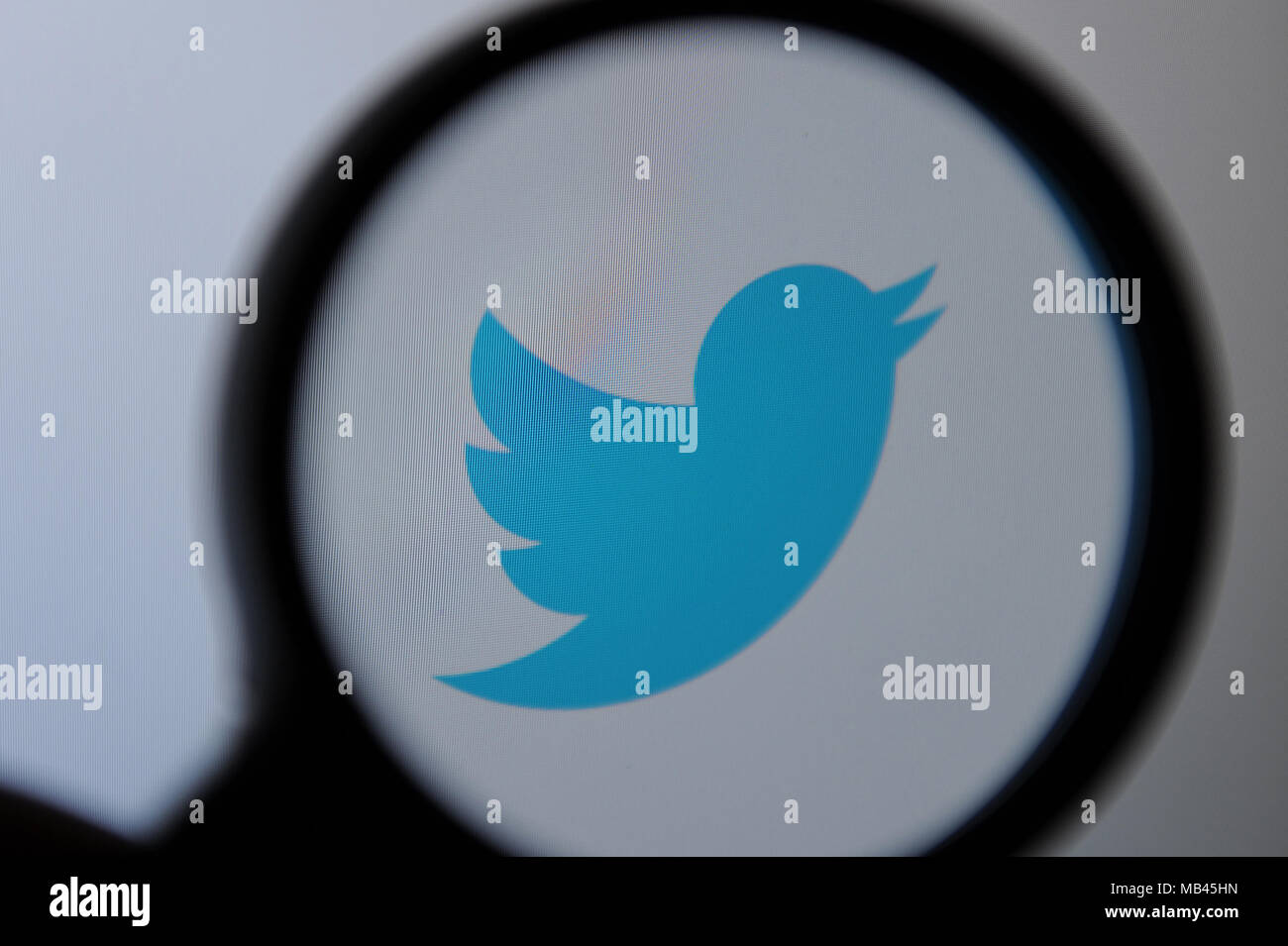 The Twitter logo seen through a magnifying glass Stock Photo - Alamy
