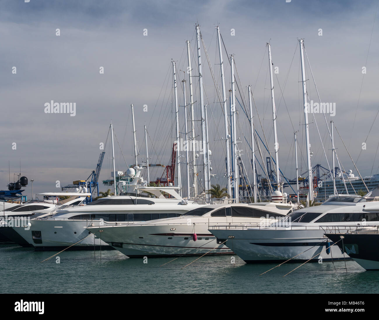 Power Boats in Royal Marina Valencia Spain Stock Photo