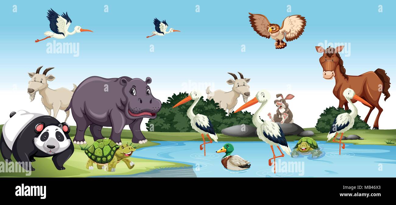 Various wild Animals scene illustration Stock Vector