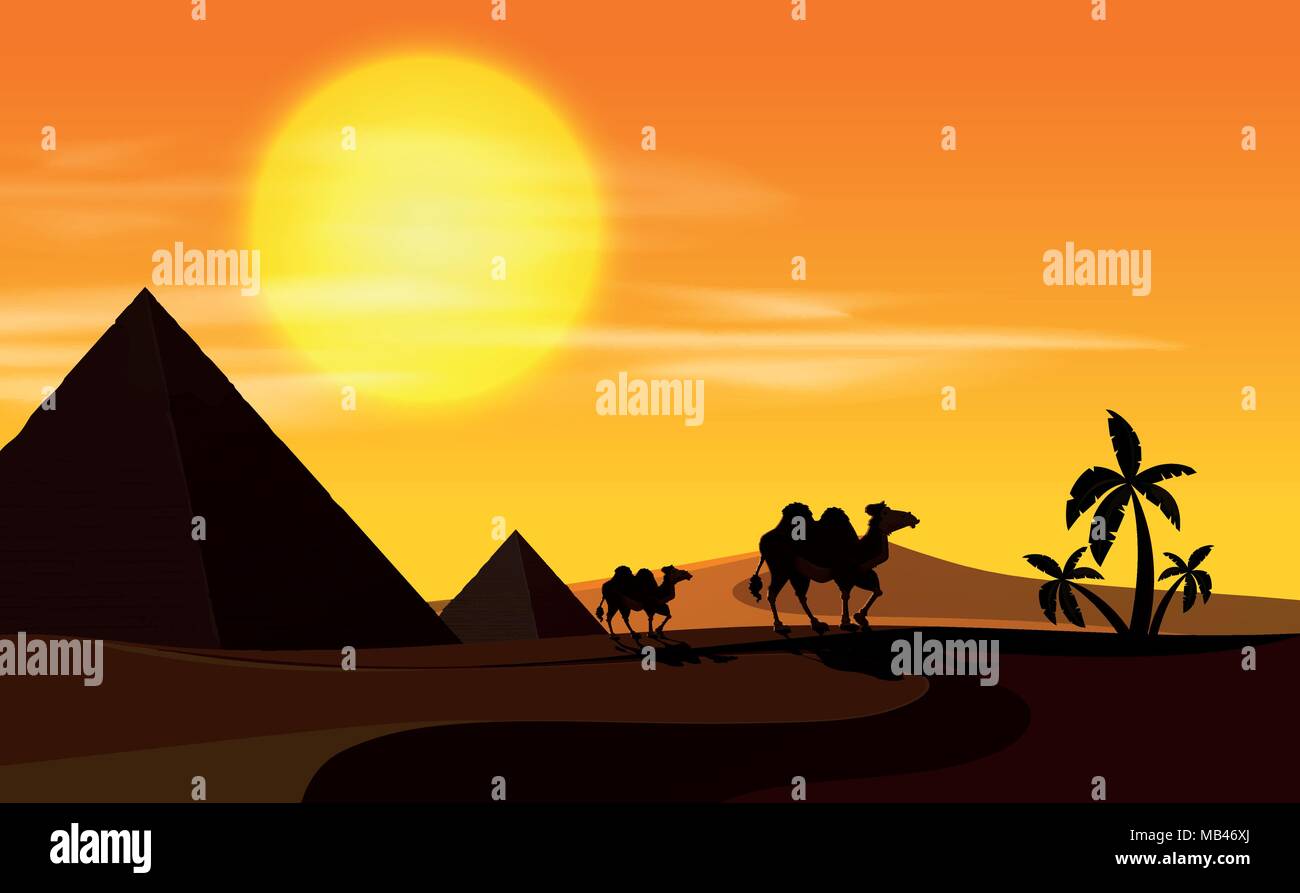 Desert scene with camels at sunset illustration Stock Vector Image ...