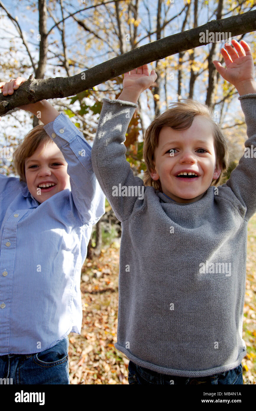 Two Boys Hanging from a Tree Branch Stock Photo Alamy