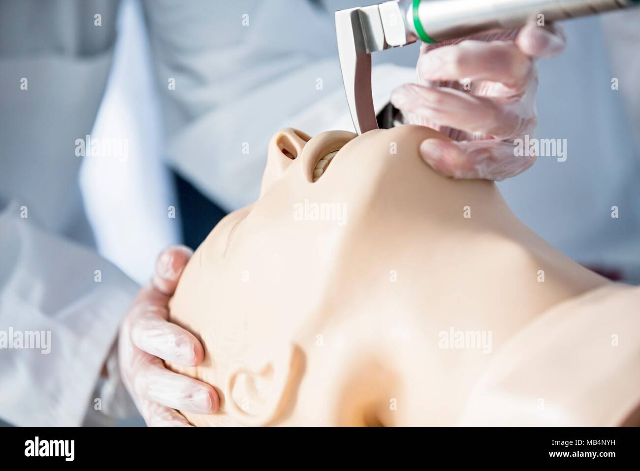 Doctor practising tracheal intubation on a training dummy. Stock Photo