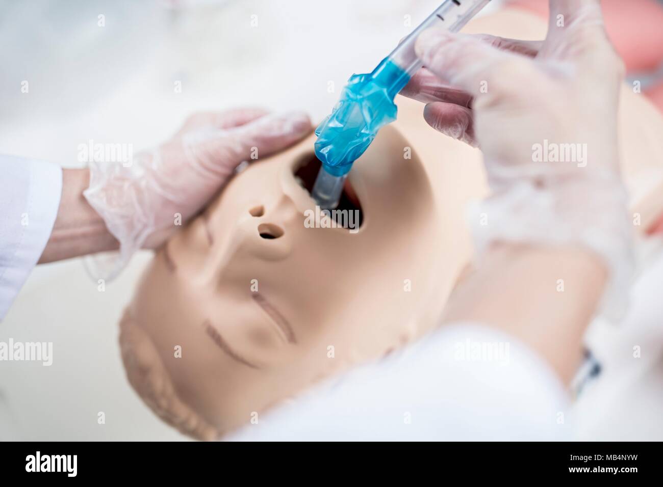 Doctor practising tracheal intubation on a training dummy. Stock Photo
