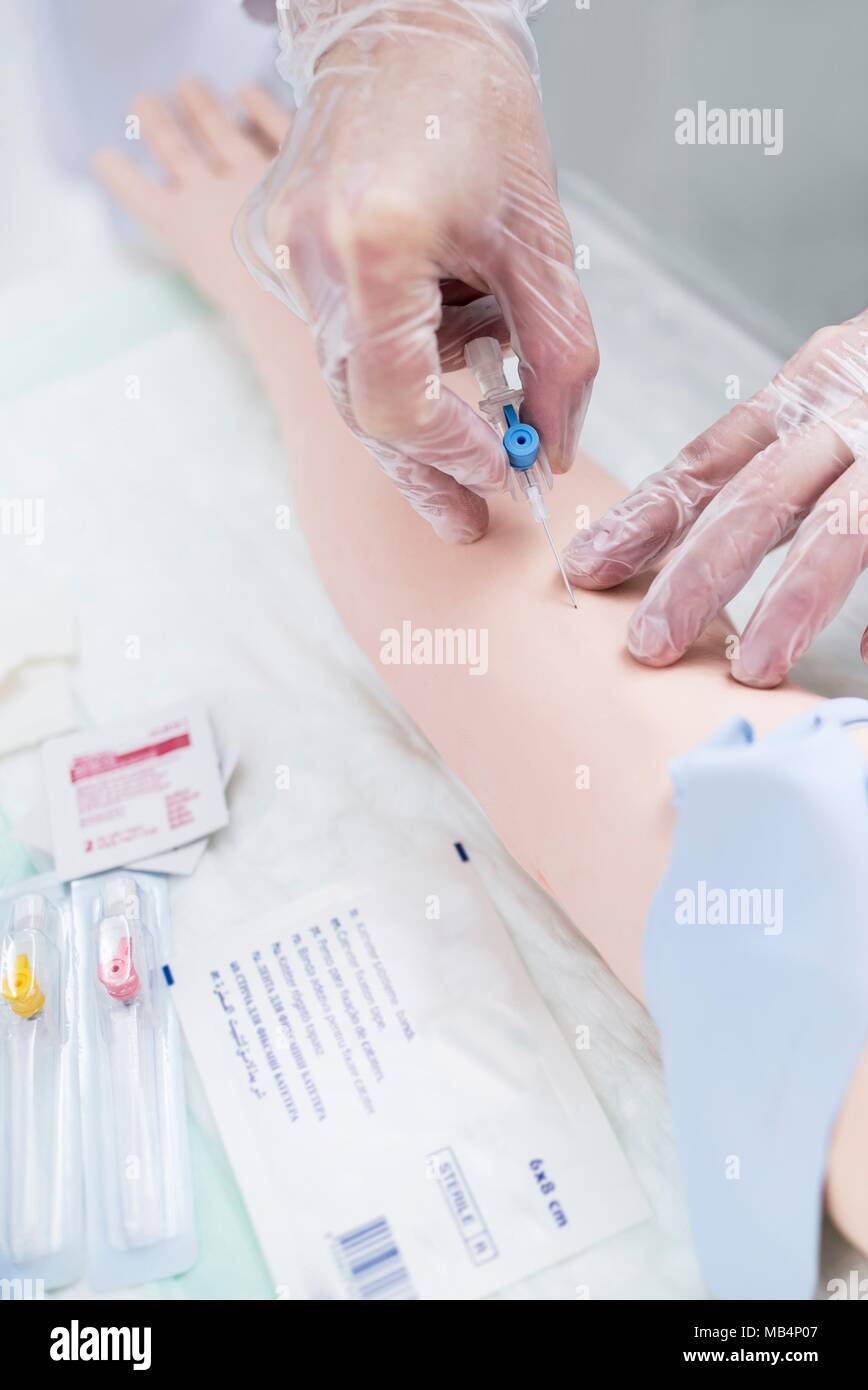 Doctor practising inserting an IV (intravenous) line on a training ...