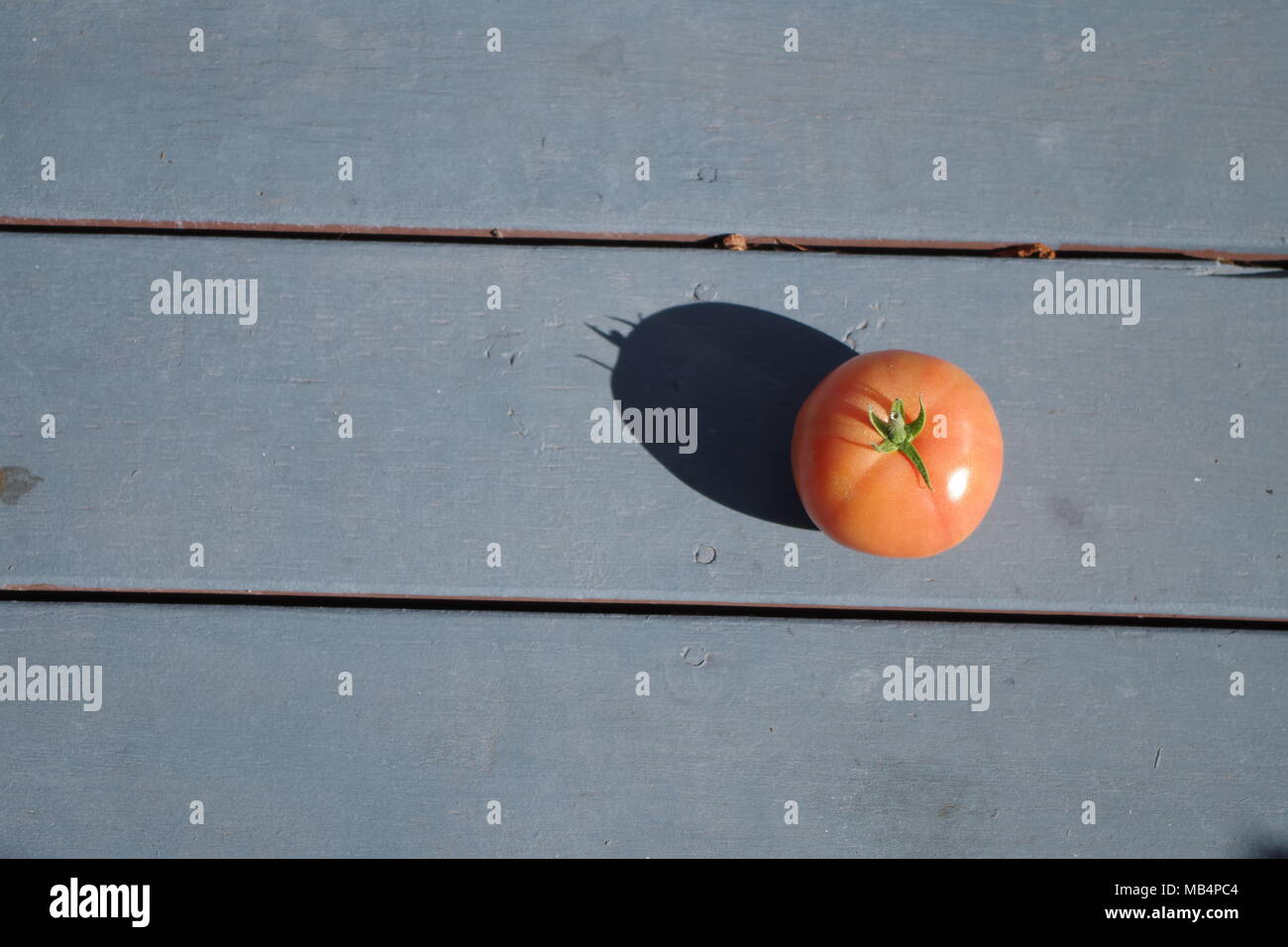 A tomato casting a shadow into a blue painted wood background, Minimalism photo. Stock Photo