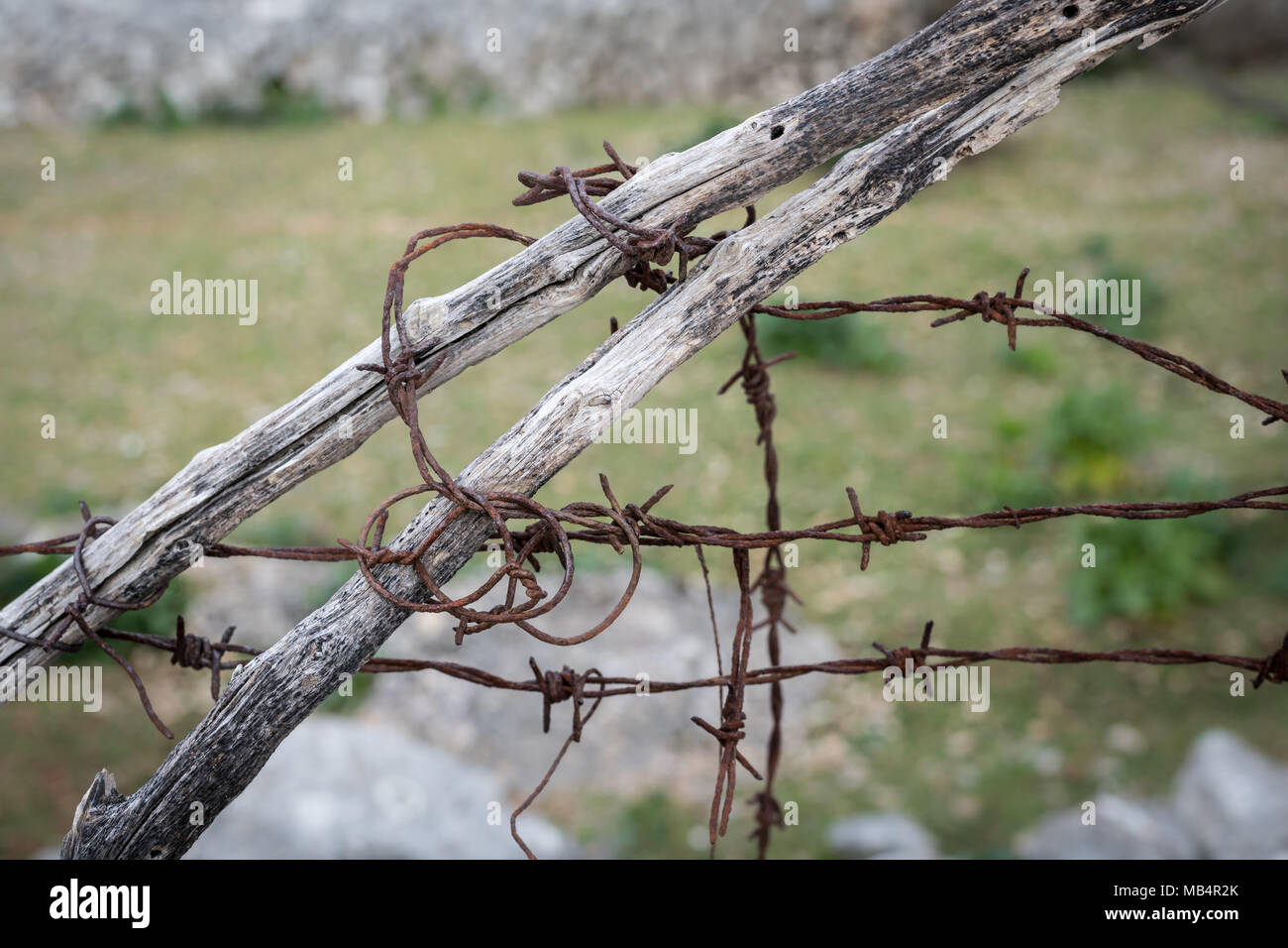 rusty barbed wire