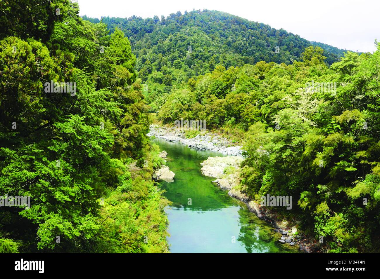 Pelorus River, New Zealand. Where the dwarves barrel scene was filmed in the Hobbit Stock Photo