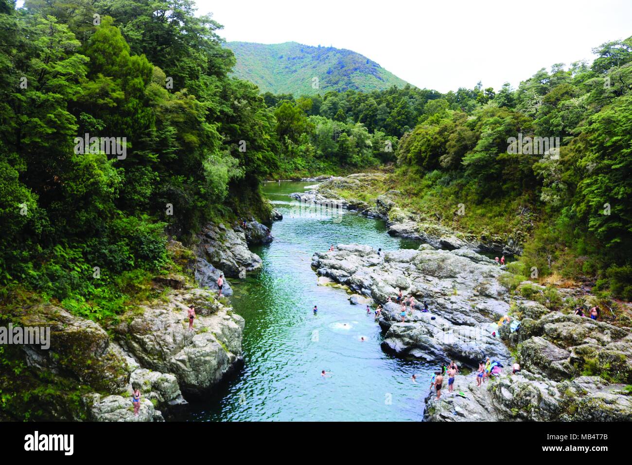 Pelorus River, New Zealand. Where the dwarves barrel scene was filmed in the Hobbit Stock Photo