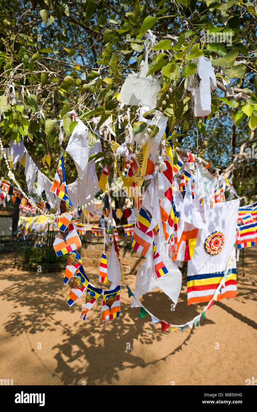 Vertical close up of bunting hanging from the Bodhi tree at Jaya Sri Maha Bodhi in Anuradhapura, Sri Lanka. Stock Photo
