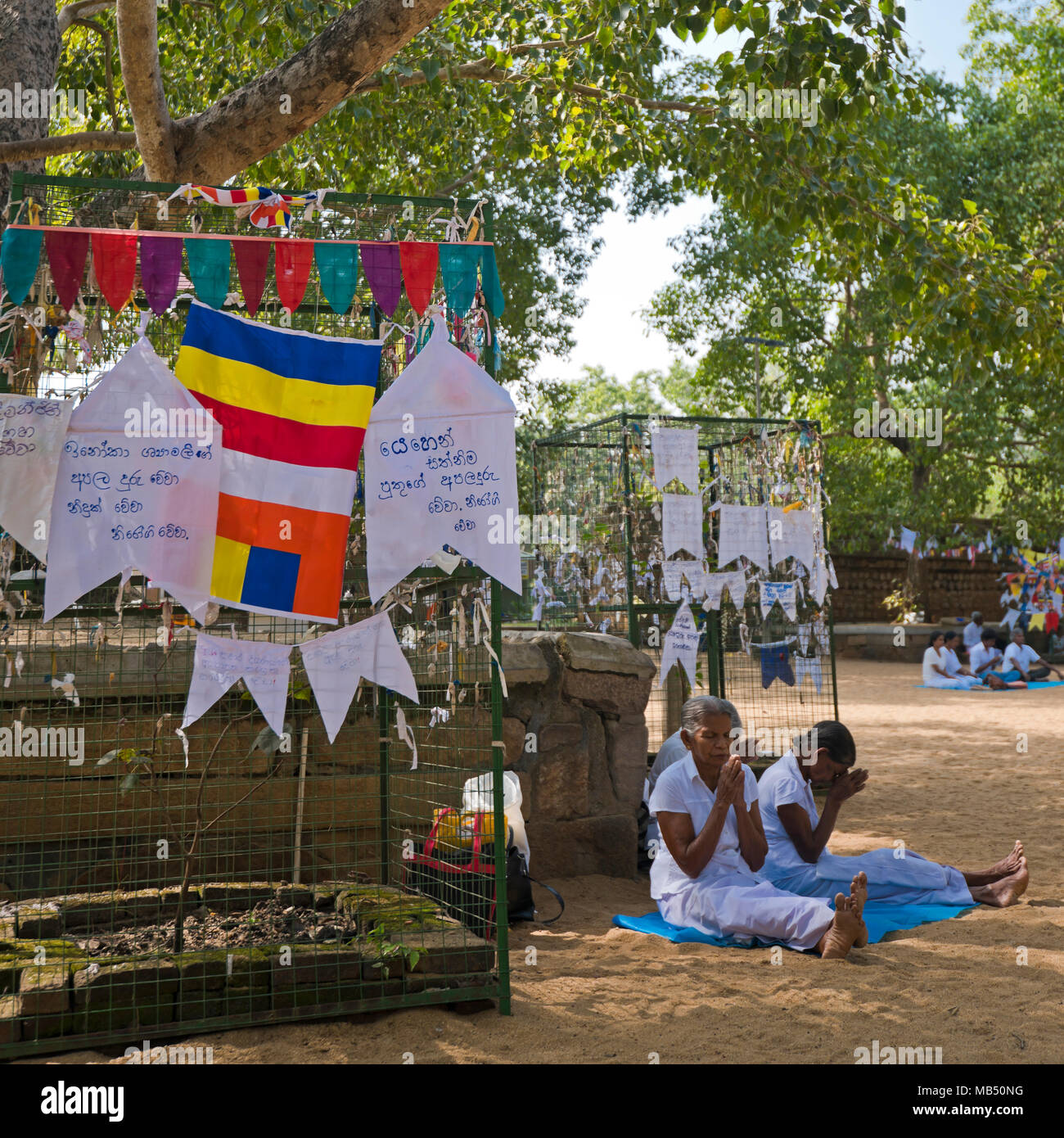 Square close up of people praying at the Bodhi tree at Jaya Sri Maha Bodhi in Anuradhapura, Sri Lanka. Stock Photo