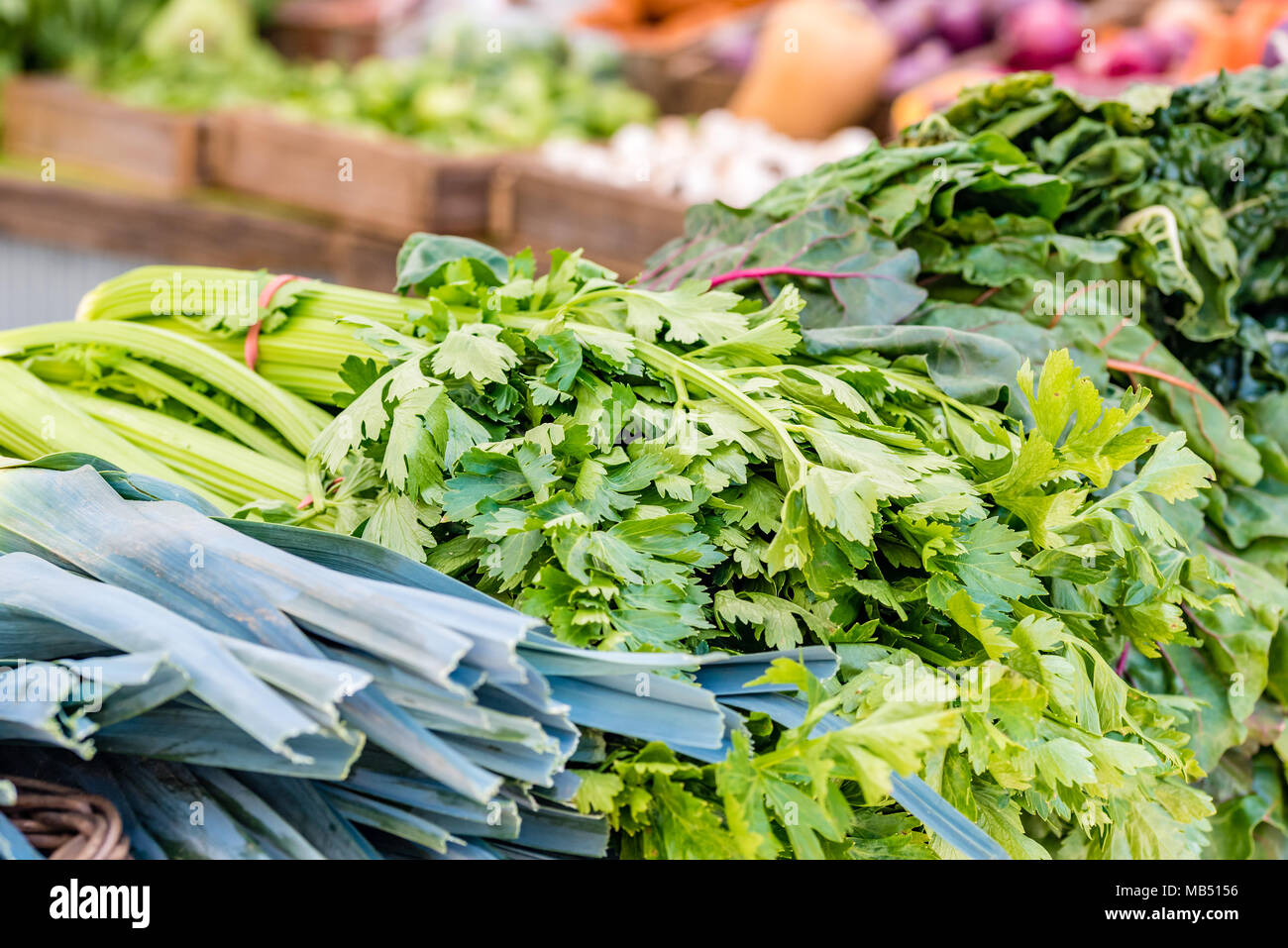 Closeup of fresh vegetables. Fresh green vegetables display at market ...