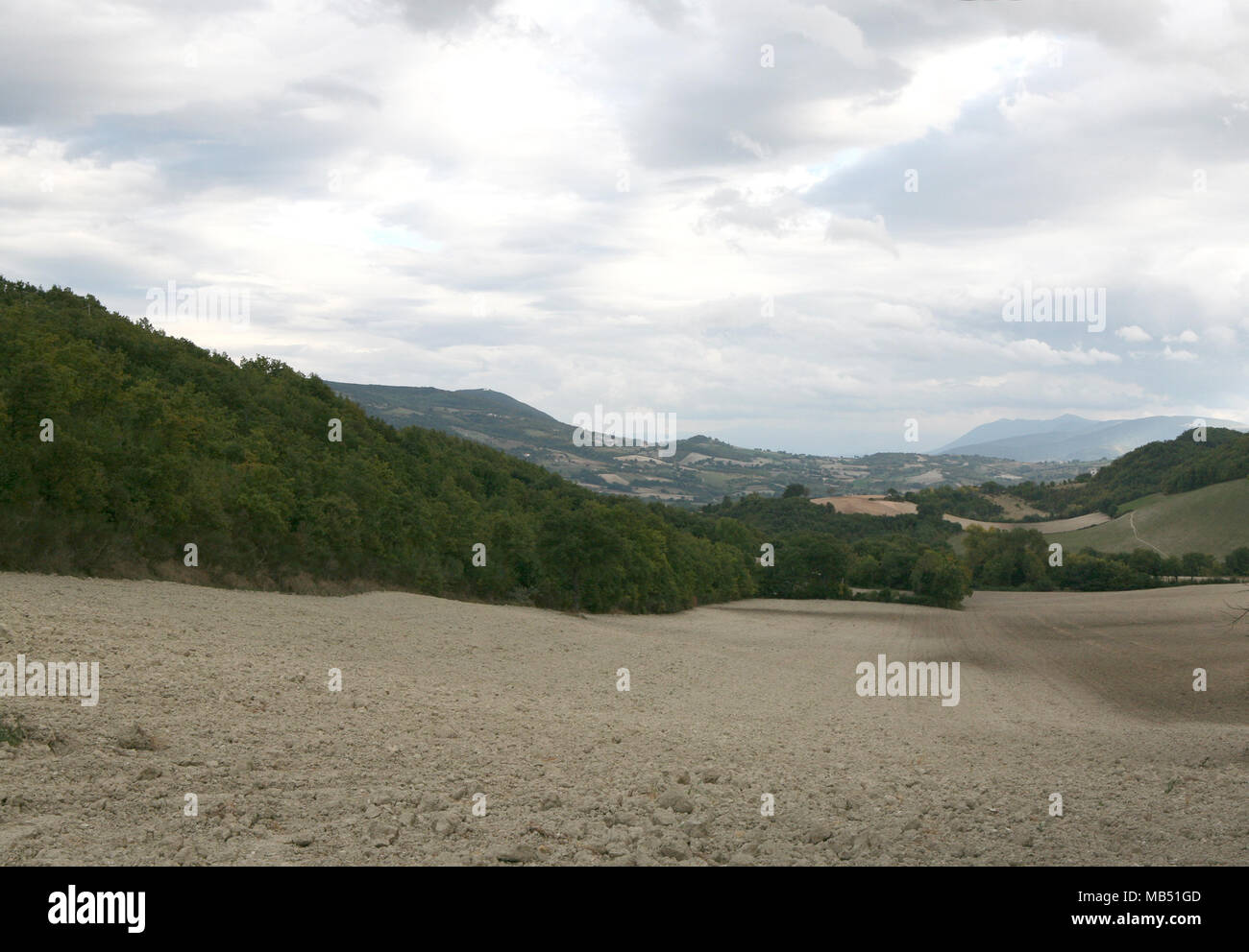 Marche hills plough field tree landscape, Italy Stock Photo