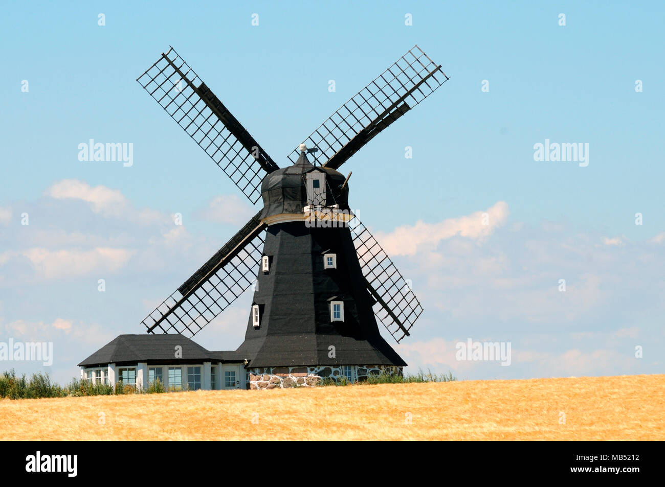 Windmill in a field of corn, Smedstorp, Scania, Sweden Stock Photo