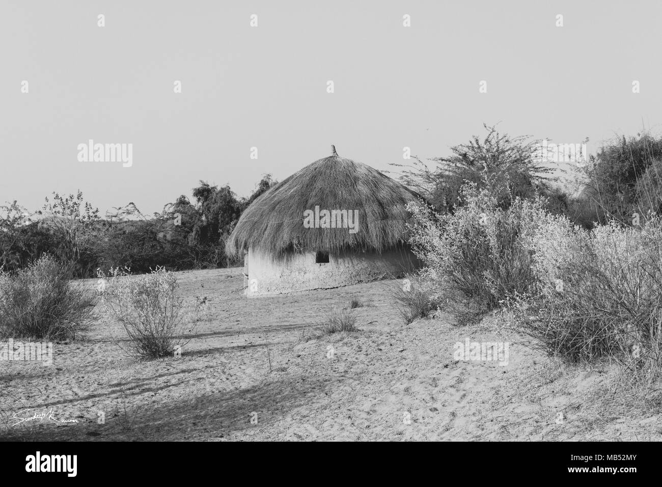 Thar Desert Stock Photo