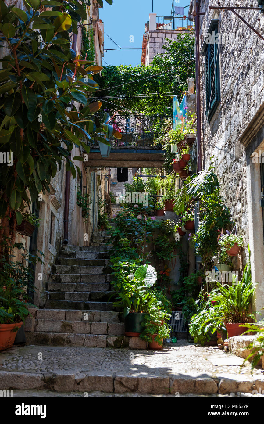 Ulica od Domina, a narrow, steep lane in stari grad (old town