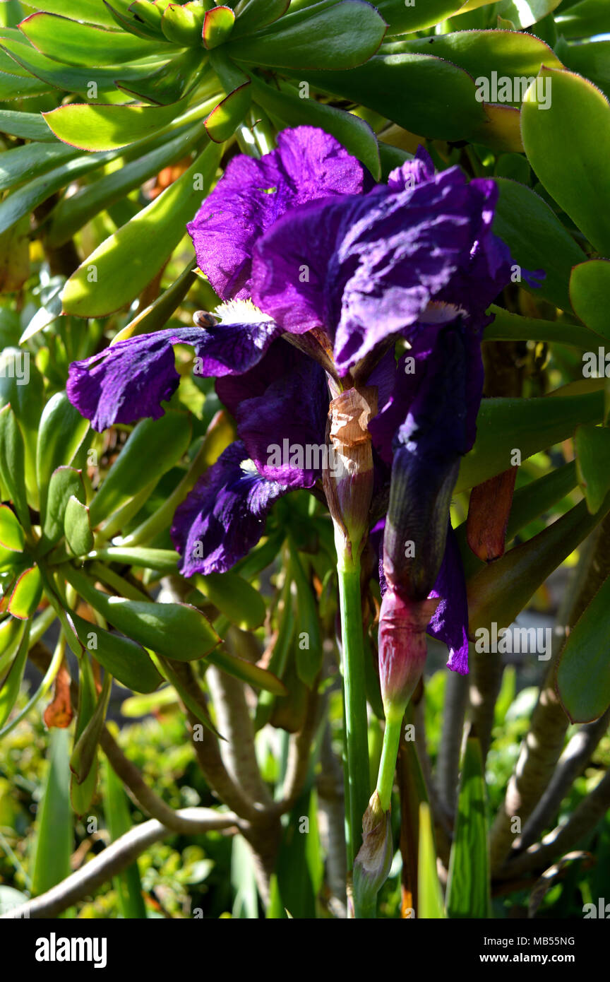 Sfondo luminoso primavera hi-res stock photography and images - Alamy