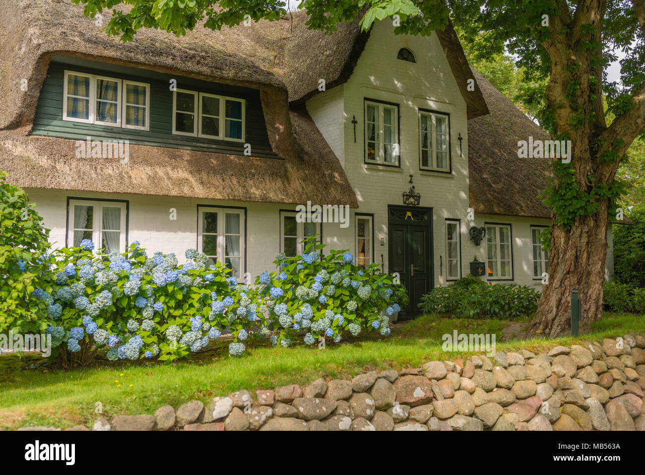 Traditional Frisian house with thatched roof, Keitum, North Sea island of Sylt, Schleswig-Holstein, North Germany, Europe Stock Photo