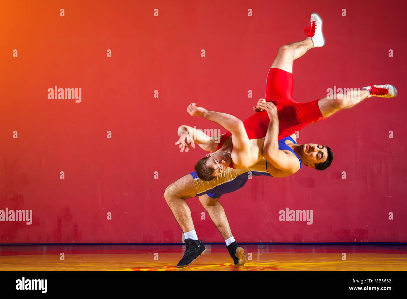 Two strong wrestlers in blue and red wrestling tights are wrestlng and