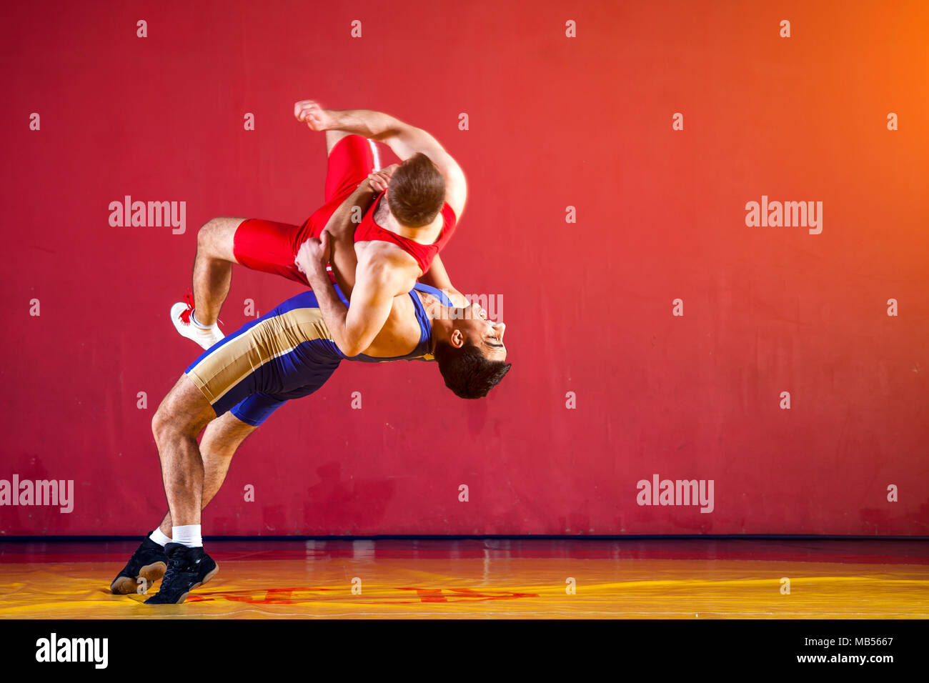 Two strong wrestlers in blue and red wrestling tights are wrestlng and