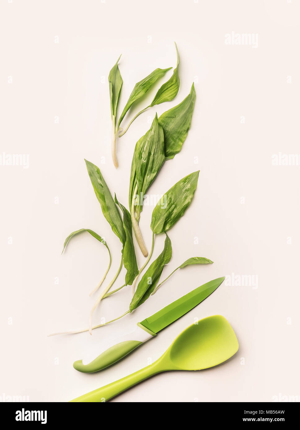 Creative layout with fresh green wild garlic leaves , knife and cooking spoon on white background.  Healthy seasonal food, recipes and eating concept Stock Photo