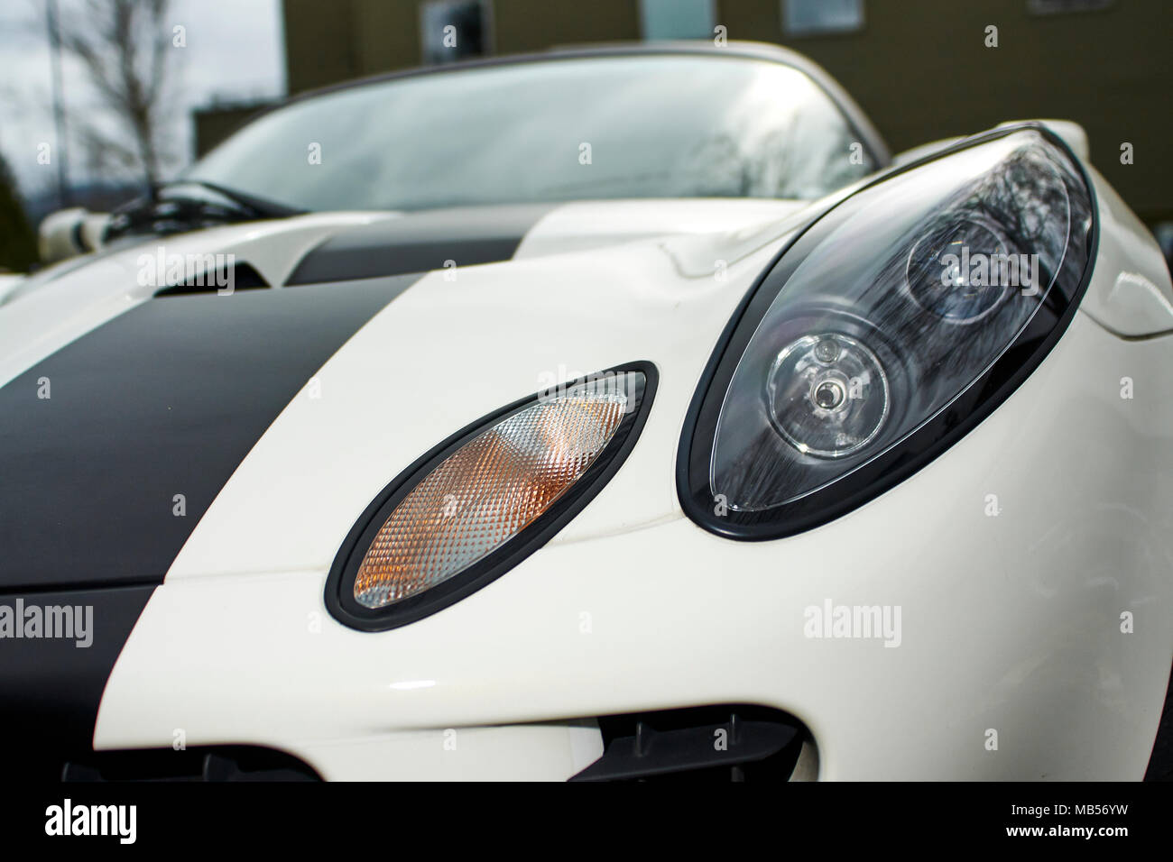 Series 2 Lotus Elise in black and white with an aftermarket hardtop