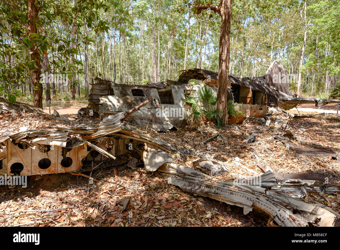 The remains of a DC3 plane wreck in the bush near Bamaga, Queensland