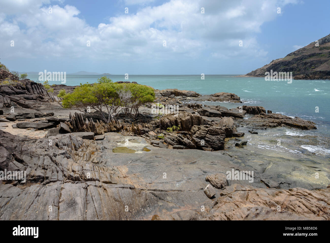 A few trees on the rocks at the northernmost point of the Australian mainland at Cape York Stock Photo