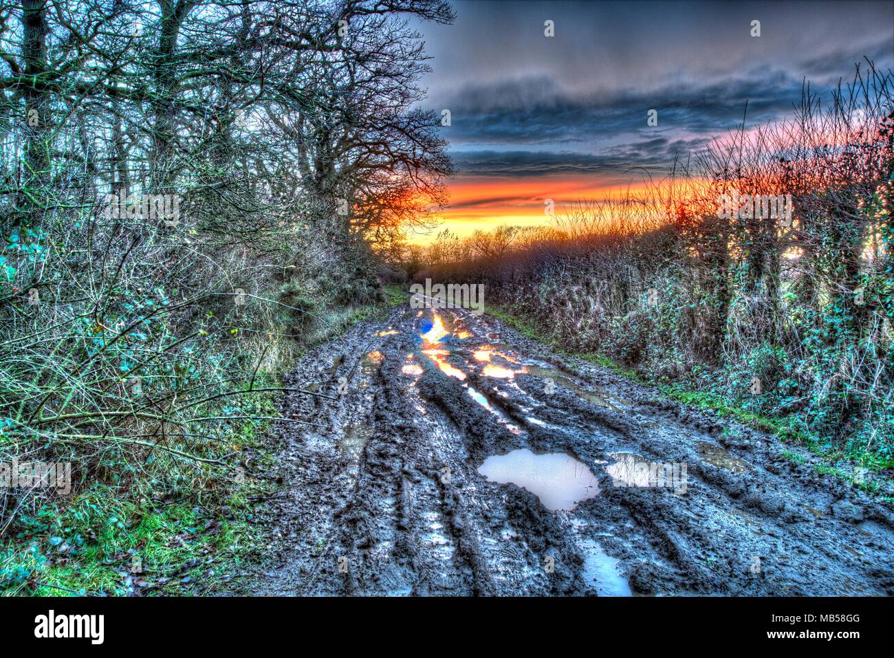 Village of Coddington, England. Artistic sunset view over a bridleway in rural Cheshire. Stock Photo