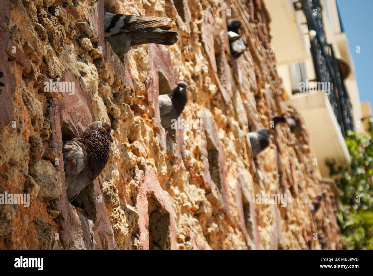 Pigeon Holes High Resolution Stock Photography and Images Alamy